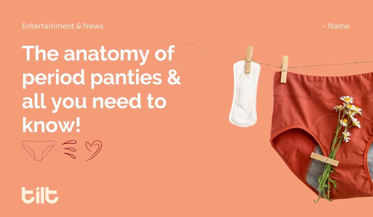 The Anatomy of Period Panties - All You Need to Know
